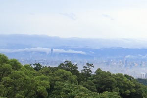 林梢步道訪羅漢、雲生靈芝濟世人