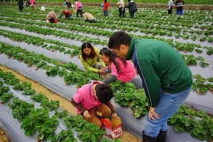 1220中華視障安養樂活福利促進會！苗_2554 朱進福